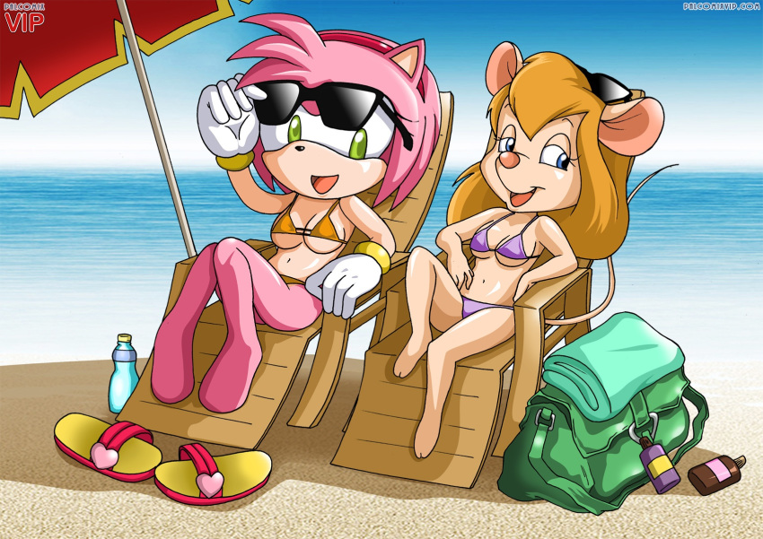 2girls amy_rose bbmbbf beach bikini breasts crossover disney female gadget_hackwrench mobius_unleashed palcomix palcomix_vip rescue_rangers sega sonic_(series) sonic_the_hedgehog_(series)