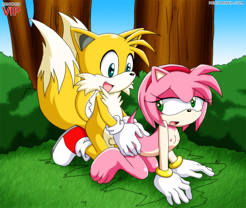 1boy 1girl all_fours amy_rose areolae bbmbbf breasts female flat_chest looking_back male miles_"tails"_prower mobius_unleashed nipples palcomix penis sega small_breasts sonic_(series) sonic_the_hedgehog_(series)