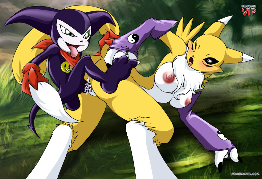 all_fours bbmbbf breasts digihentai digimon doggy_position female impmon male nipples palcomix renamon