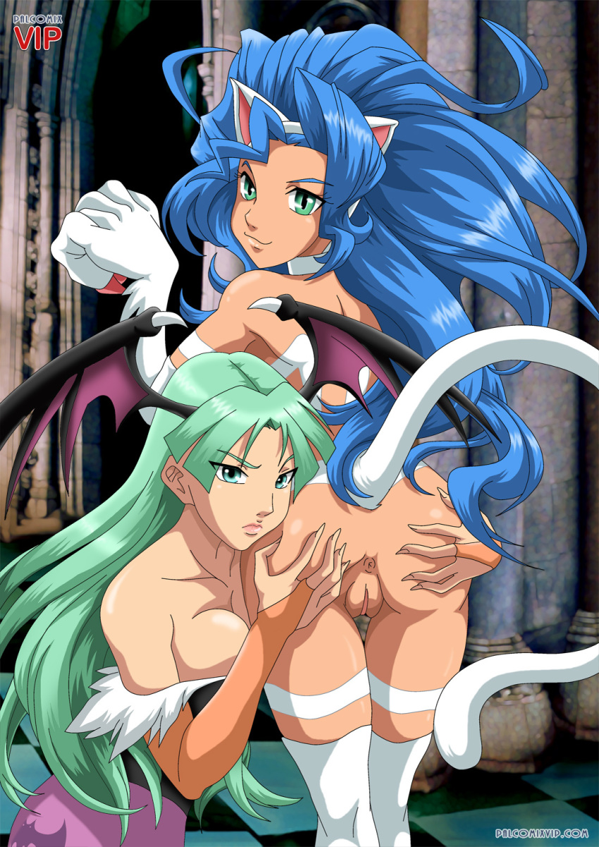 anus ass breasts capcom felicia female green_eyes looking_at_viewer morrigan_aensland palcomix pussy tail