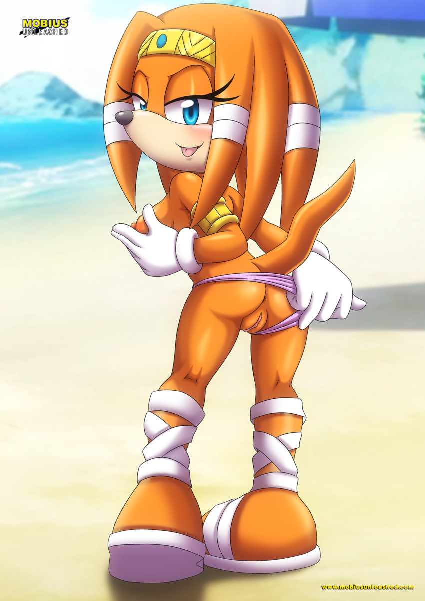 anus bbmbbf beach blush mobius_unleashed nipple palcomix panties pussy sega sideboob sonic_(series) sonic_the_hedgehog_(series) tikal_the_echidna tongue tongue_out