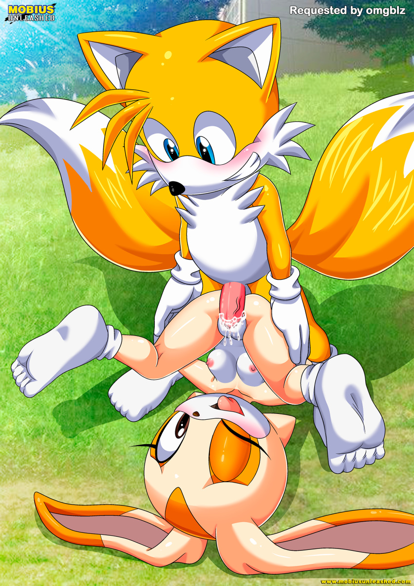 1boy 1girl bbmbbf cream_the_rabbit furry furry_female furry_male furry_only miles_"tails"_prower mobius_unleashed palcomix piledriver_position sega sonic_the_hedgehog_(series) straight