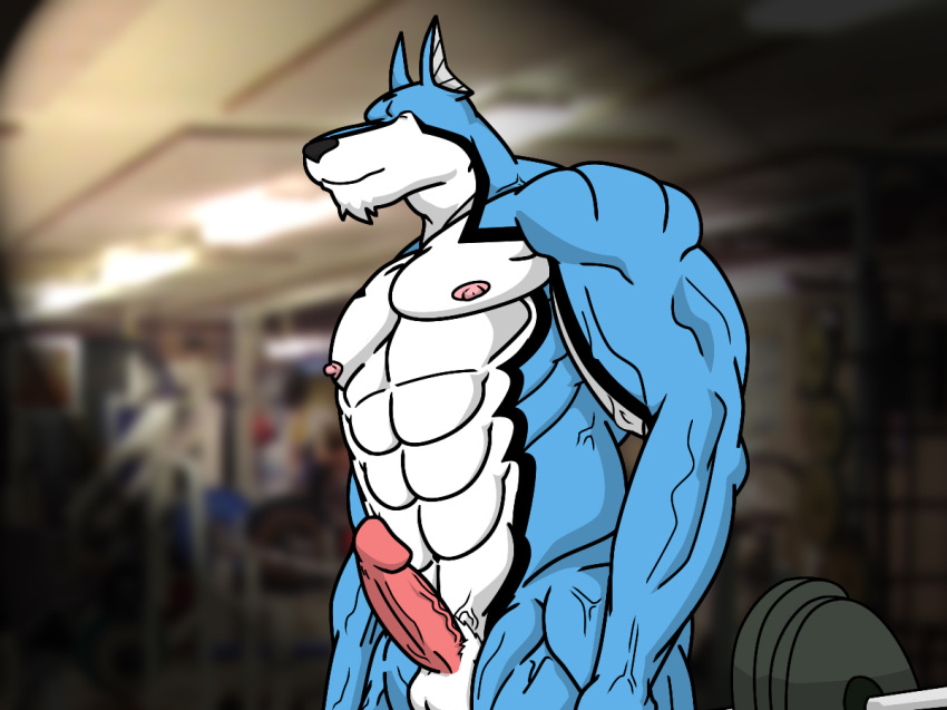 abs doggie_kruger gym male muscle pecs solo