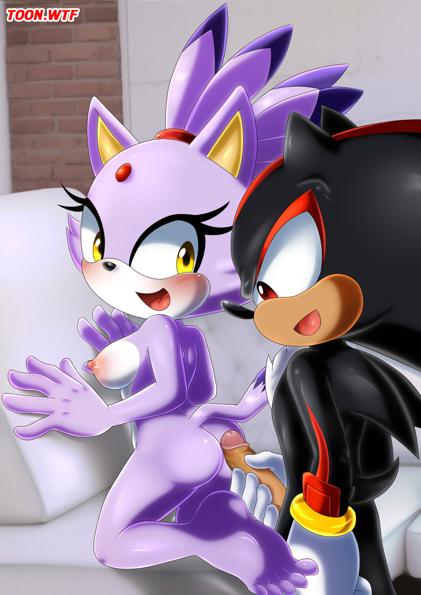 bbmbbf blaze_the_cat mobius_unleashed palcomix sega shadow_the_hedgehog sonic_the_hedgehog_(series) toon.wtf
