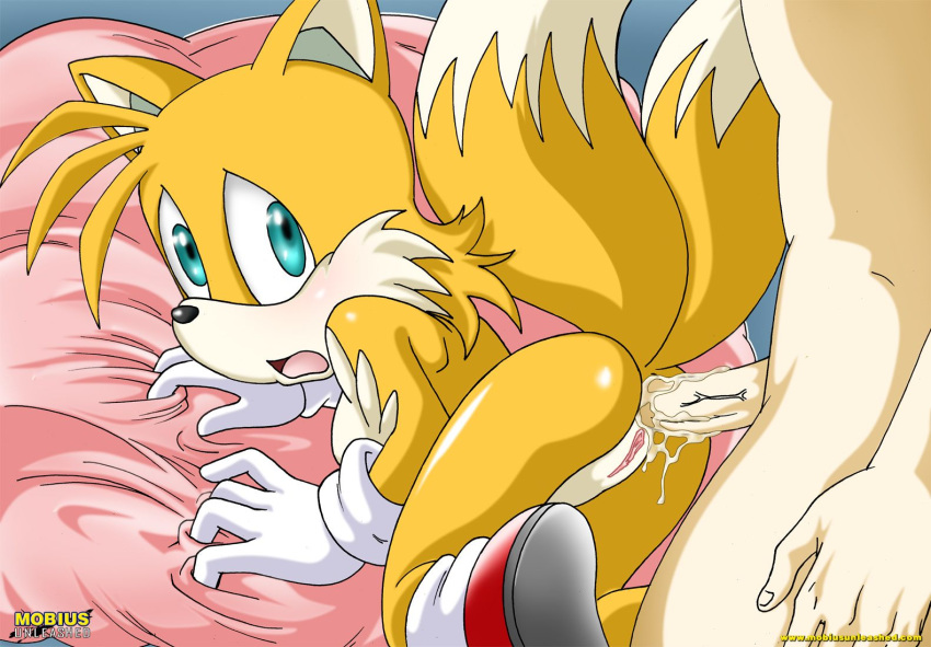 1boy 1girl anal anthro anus ass_juice bbmbbf breasts canine crossgender cum doggy_position female fox furry genderswap hetero human_on_anthro looking_back male miles_"tails"_prower millie_tailsko mobius_unleashed palcomix penis pussy rule_63 sega sonic_(series) sonic_the_hedgehog_(series) tail
