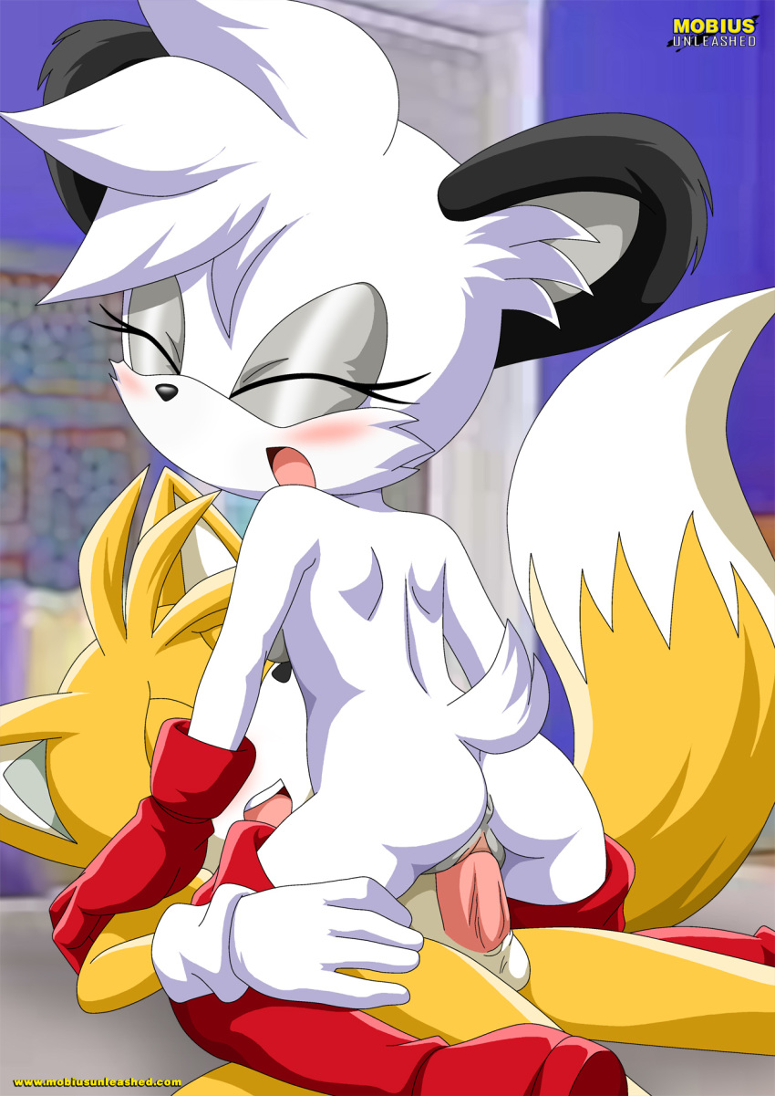 1boy 1girl anthro archie_comics barby_koala bbmbbf blush boots canine cowgirl_position eyewear female fox furry girl_on_top gloves hetero lying male miles_"tails"_prower mobius_unleashed multiple_tails palcomix penetration sega sex sonic_(series) sonic_the_hedgehog_(series) tail vaginal