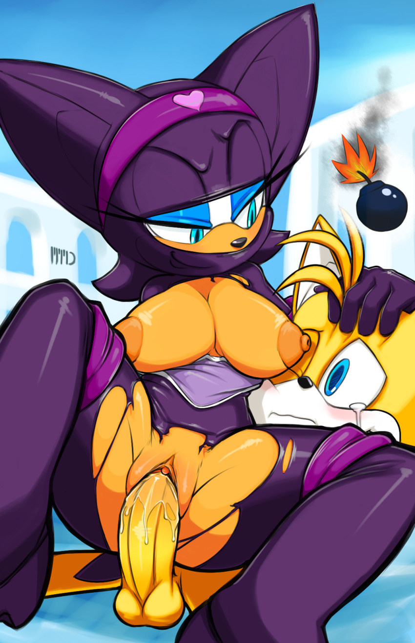 anthro areola big_breasts blue_eyes bomb breasts canine crying erect_nipples erection female fox male marthedog miles_"tails"_prower nipples penetration penis pussy pussy_juice rouge_the_bat sega sex smile sonic_(series) tears testicles vaginal vaginal_penetration wet wet_pussy