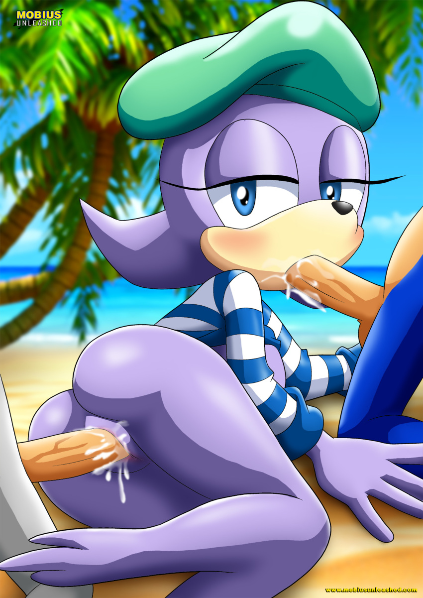 1girl archie_comics bbmbbf mobius_unleashed oral palcomix sealia_the_seal sega sex silver_the_hedgehog sonic_(series) sonic_the_hedgehog sonic_the_hedgehog_(series) tagme