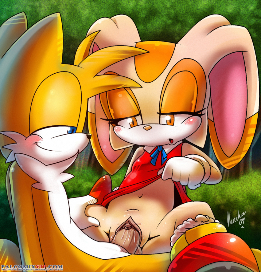anthro blush cream_the_rabbit miles_"tails"_prower nancher penis pussy sega sex sonic_(series) tail vaginal