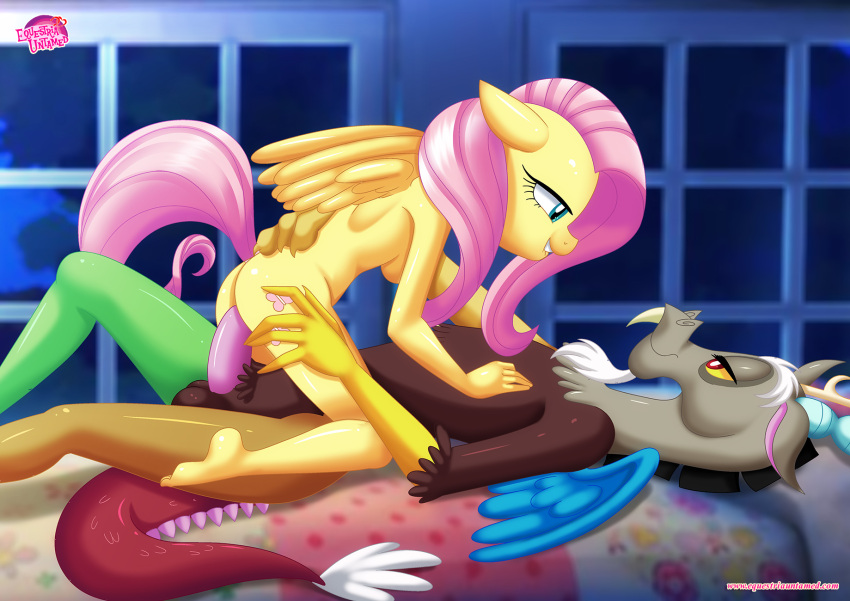bbmbbf discord discord_(mlp) equestria_untamed fluttershy fluttershy_(mlp) friendship_is_magic furry hasbro my_little_pony palcomix