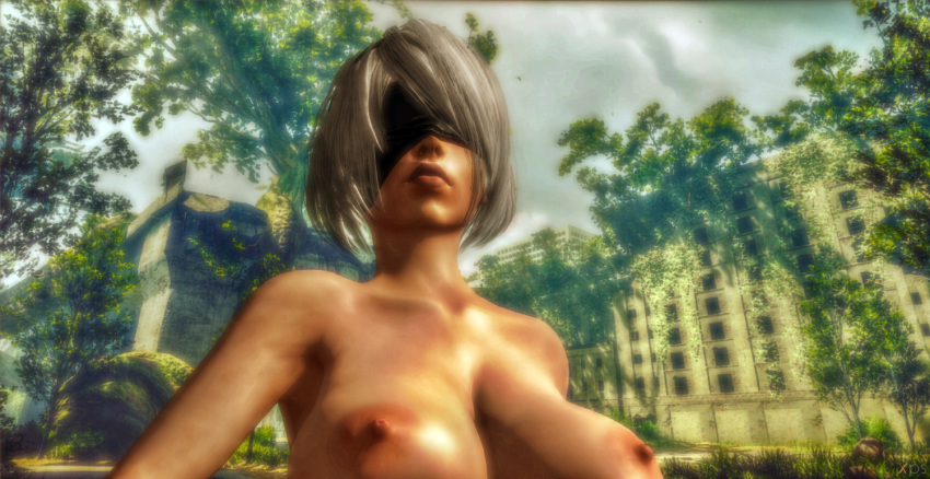 1girl 3d android areola big_breasts black_blindfold black_headband blindfold blue_sky bridge brown_lipstick brown_nipples brown_skin buildings bushes city city_background close-up clouds cosplay cosplayer cosplaying crossover erect_nipples female_human female_only from_below games headband headwear huge_breasts human human_only humanized lips lipstick looking_ahead mask masked mouth nier nier:_automata nier_(character) nier_(series) nude nude_female outside overwatch posing render road roots ruins short_hair silver_hair sky solo_female tan tanned tanned_skin trees video_games white_hair widowmaker widowmaker_(overwatch) xnalara xps yorha_2b_(cosplay) yorha_no._2_type_b