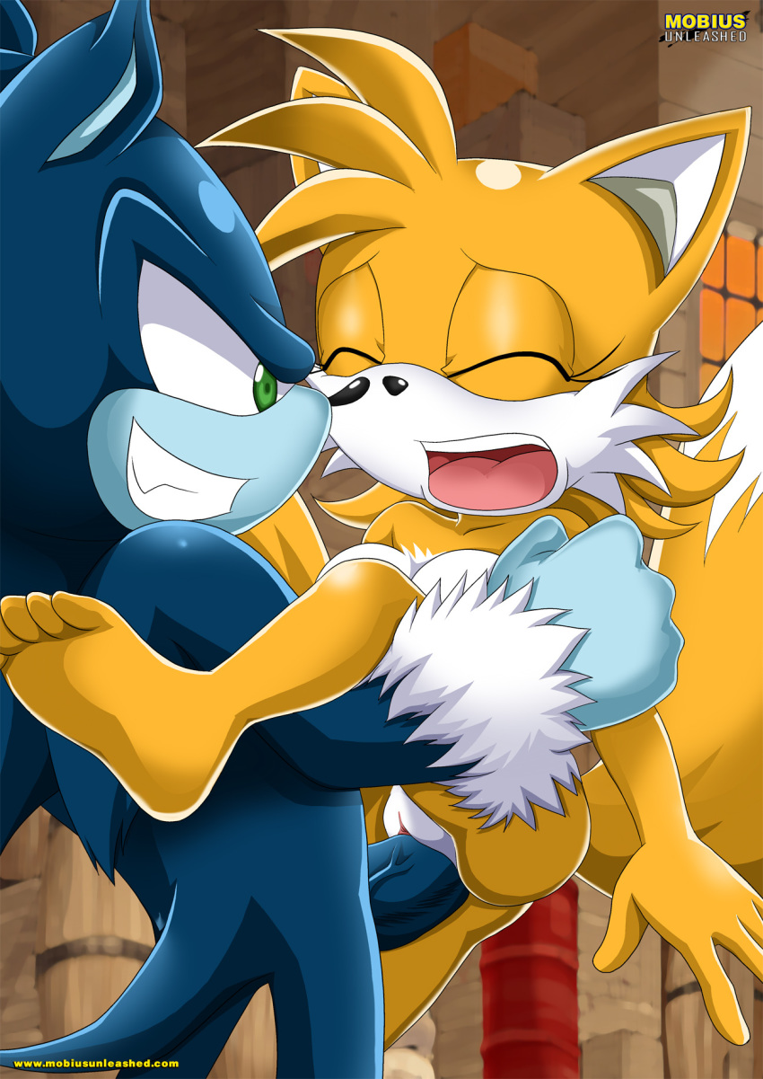 against_wall bbmbbf breasts canine crossgender exposed female fox fur genderswap gloves hedgehog male male/female miles_"tails"_prower millie_tailsko mobius_unleashed palcomix sega sex sonic_(series) sonic_the_hedgehog sonic_the_hedgehog_(series) sonic_the_werehog spread_legs spreading straight_sex vaginal wolf
