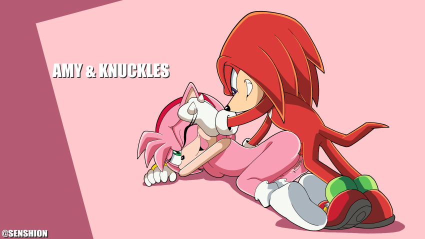 1girl amy_rose anal_penetration ass breasts female furry green_eyes knuckles_the_echidna purple_eyes pussy sega senshion sex smile sonic_(series) sonic_channel sonic_the_hedgehog_(series) tagme