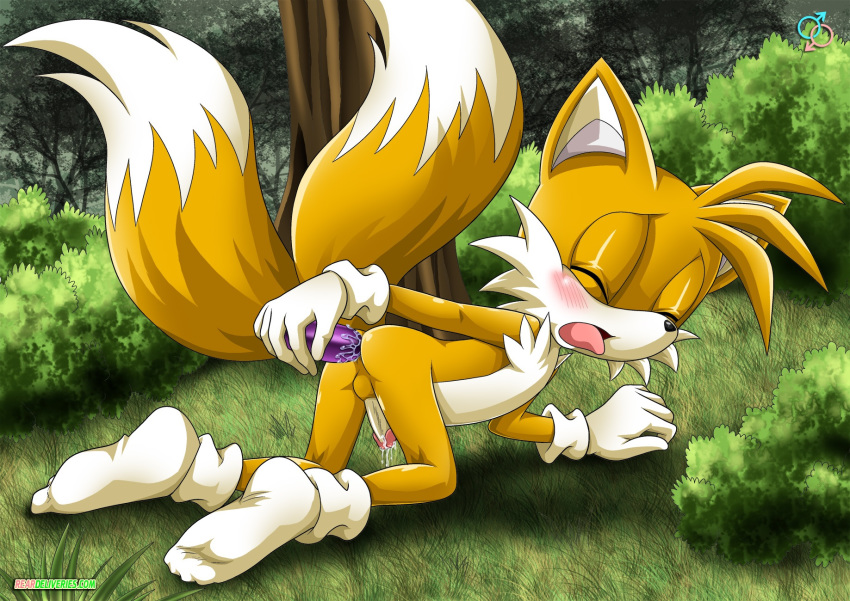 anal bbmbbf dildo fox gay miles_"tails"_prower mobius_unleashed palcomix rear_deliveries reardeliveries sega sonic_(series) sonic_team sonic_the_hedgehog_(series) yaoi