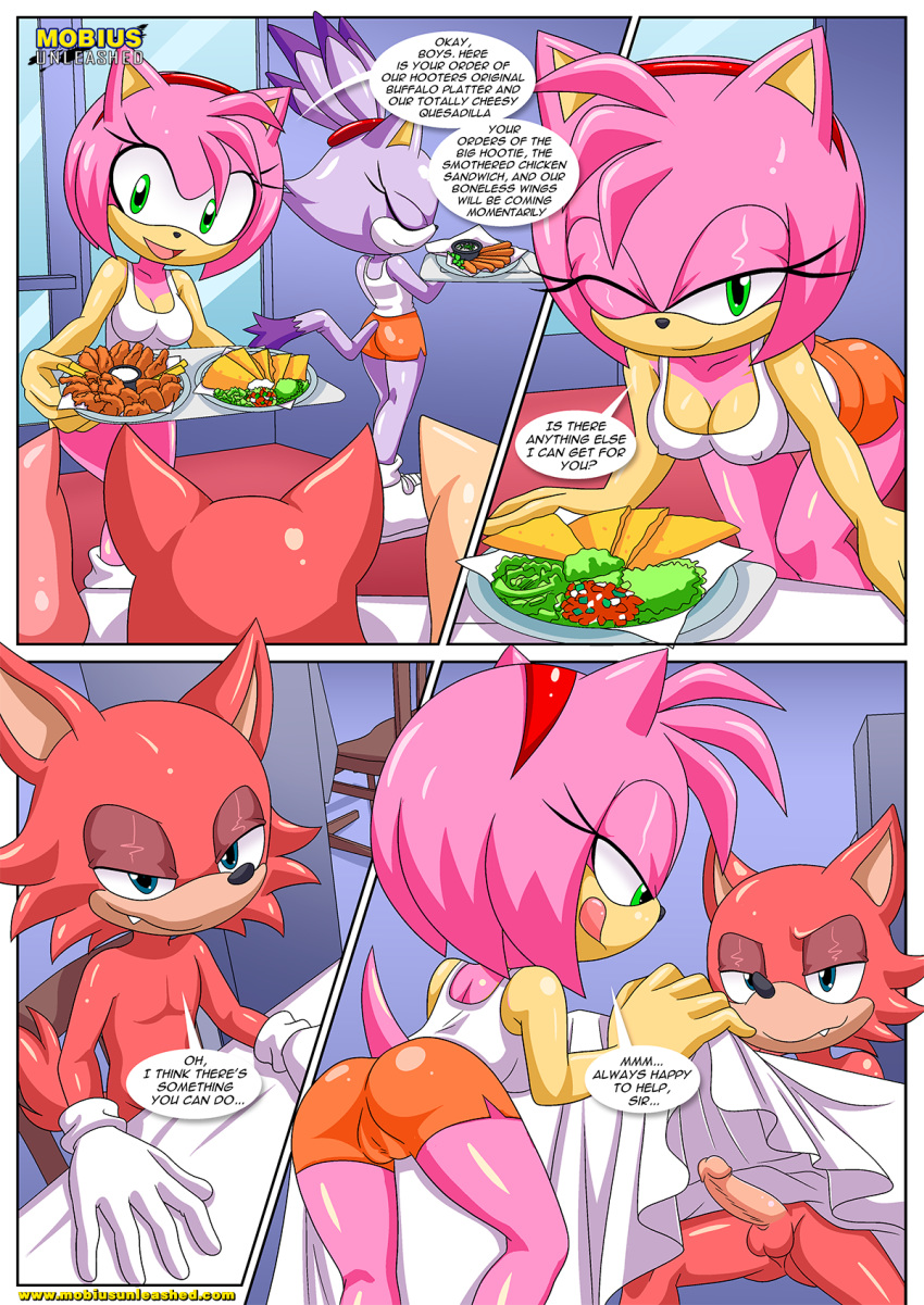1girl amy_rose ass bbmbbf blaze_the_cat hooters mobian mobian_(species) mobian_hooters mobius_unleashed palcomix penis sega sonic_(series) sonic_the_hedgehog_(series)
