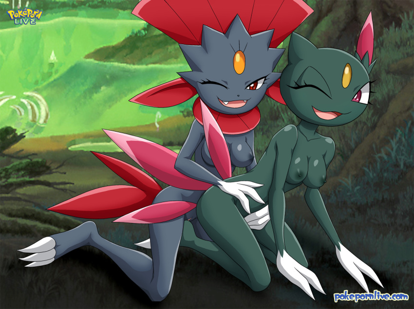 2_girls bbmbbf blush breasts female/female female_only looking_at_viewer multiple_girls nintendo nude palcomix pokemon pokepornlive sneasel weavile wink