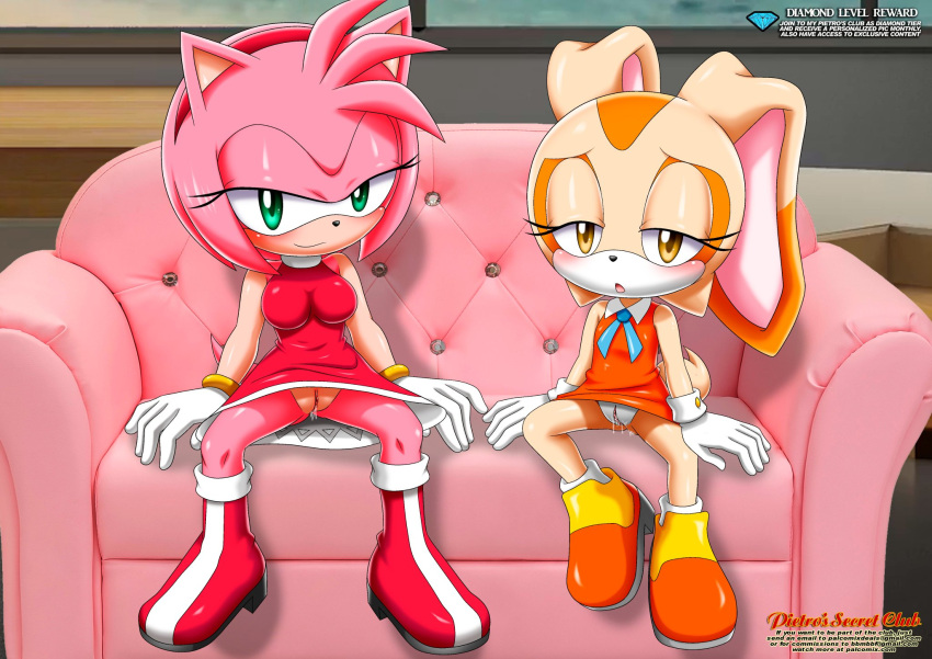 2_girls amy_rose anthro bbmbbf cream_the_rabbit diamond_level female_only furry hedgehog looking_at_viewer mobius_unleashed no_panties palcomix pietro's_secret_club pussy rabbit sega sonic_the_hedgehog_(series) tagme the_mayhem_of_the_kinky_virus