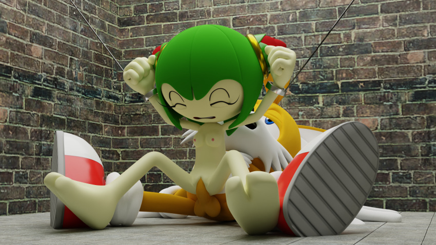 cosmo_the_seedrian miles_"tails"_prower smpthehedgehog sonic sonic_x tagme