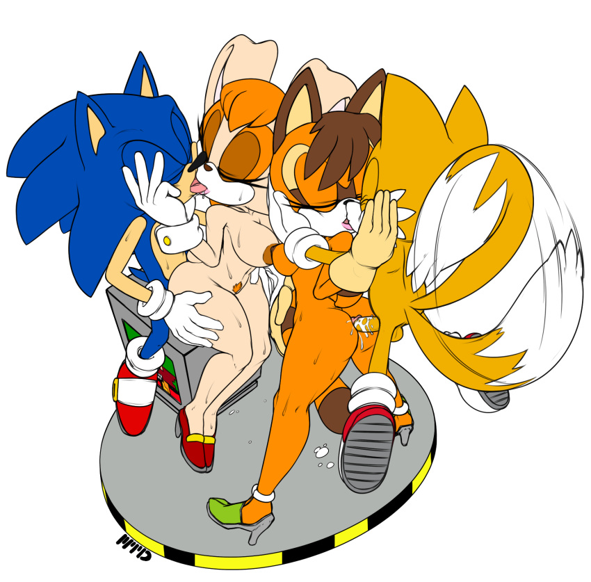 anthro ass big_breasts breasts canine erection female fox fur furry hair hedgehog hetero interspecies kissing male marine_the_raccoon marthedog miles_"tails"_prower nipples nude open_mouth penis plain_background pussy sega sex sonic_(series) sonic_the_hedgehog testicles tongue tongue_out vanilla_the_rabbit video_games white_background