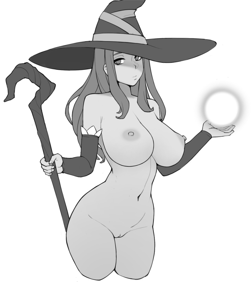 1girl 1girl big_breasts breasts cleft_of_venus donburikazoku hat high_resolution long_hair monotone nipples nude pussy sorceress_(dragon's_crown) standing witch_hat
