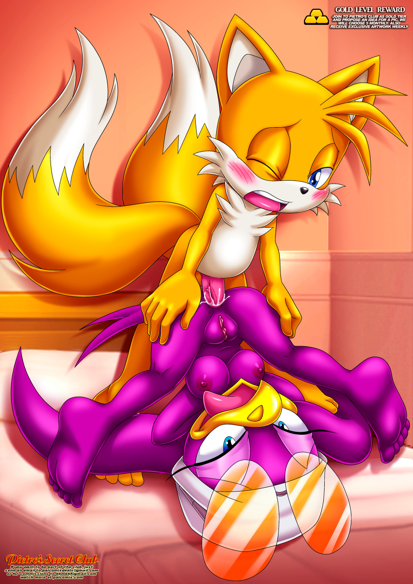 anal bandanna bbmbbf blush breasts hetero male/female miles_"tails"_prower mobius_unleashed palcomix pietro's_secret_club piledriver_position purple_fur sega shades sonic_(series) sonic_the_hedgehog_(series) tongue_out wave_the_swallow yellow_fur