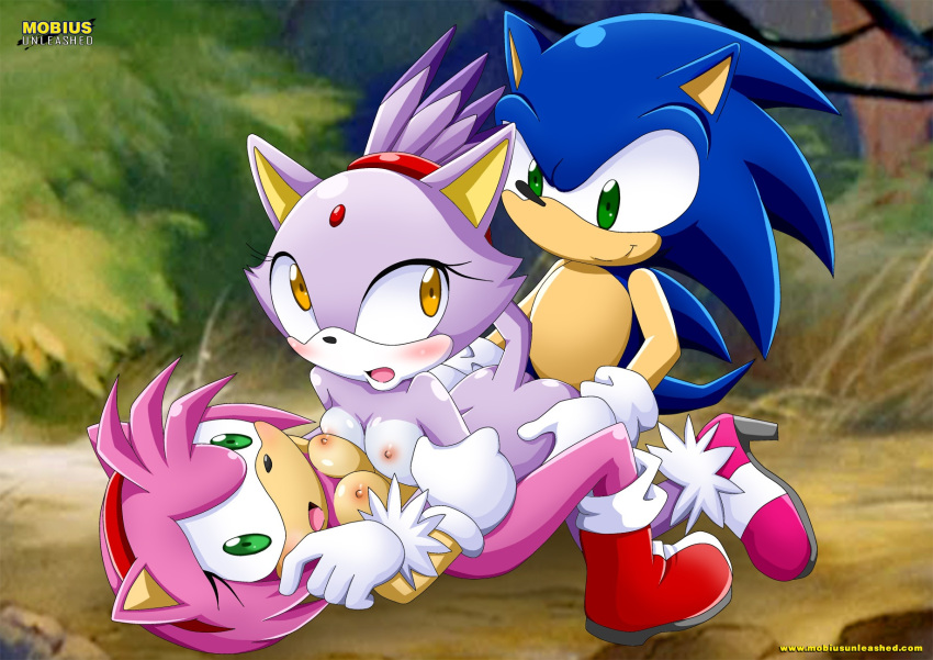 amy_rose bbmbbf blaze_the_cat mobius_unleashed palcomix sega sonic_(series) sonic_team sonic_the_hedgehog sonic_the_hedgehog_(series) tagme threesome
