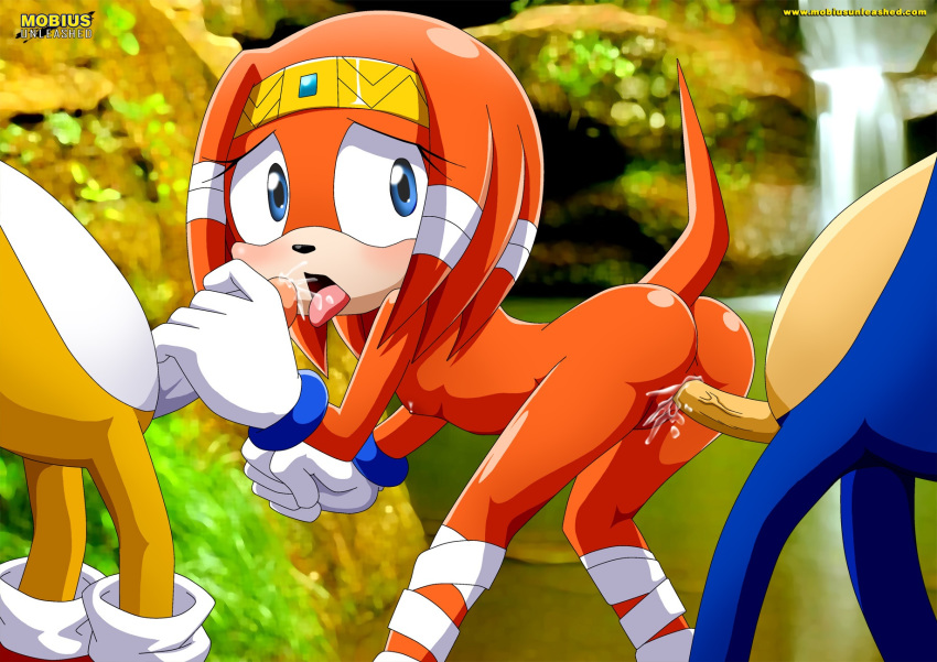 doggy_position fellatio miles_"tails"_prower oral sega sonic sonic_team sonic_the_hedgehog threesome tikal_the_echidna vaginal