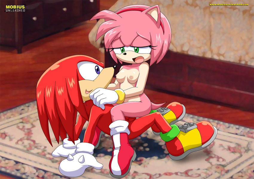 amy_rose bbmbbf knuckles_the_echidna mobius_unleashed palcomix sega sex sonic_(series) sonic_team sonic_the_hedgehog_(series) tagme vaginal
