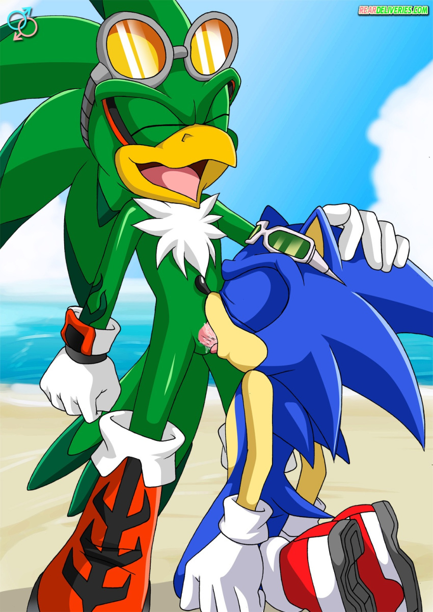 bbmbbf fellatio gay horny jet_the_hawk mobius_unleashed oral palcomix rear_deliveries reardeliveries sega sex sonic_(series) sonic_team sonic_the_hedgehog sonic_the_hedgehog_(series) yaoi