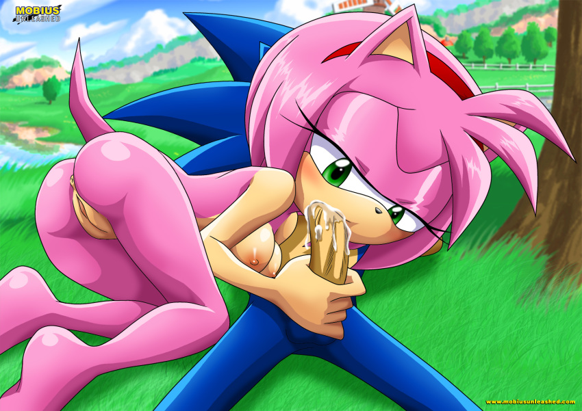 amy_rose bbmbbf breasts butt cum female hedgehog hetero male mobius_unleashed nude oral palcomix penis pussy sega sonic_(series) sonic_the_hedgehog sonic_the_hedgehog_(series)