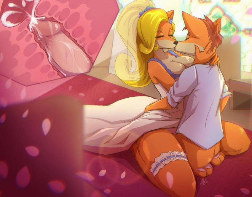 1boy 1girl 2019 animal_ears anthro anthrofied bandicoot bed black_nose blonde_hair breasts bride brother brother_and_sister cleavage clothed clothing coco_bandicoot couple cowgirl_position crash_bandicoot crash_bandicoot_(series) cum cum_in_pussy cum_in_uterus cum_inside dress duo erection female fur furry hair igazella incest internal kissing long_hair male male/female male_penetrating mammal marsupial naughty_dog on_top orange_fur penetration penis playstation ponytail sex siblings sister sony uterus vaginal vaginal_penetration video_games wedding_dress