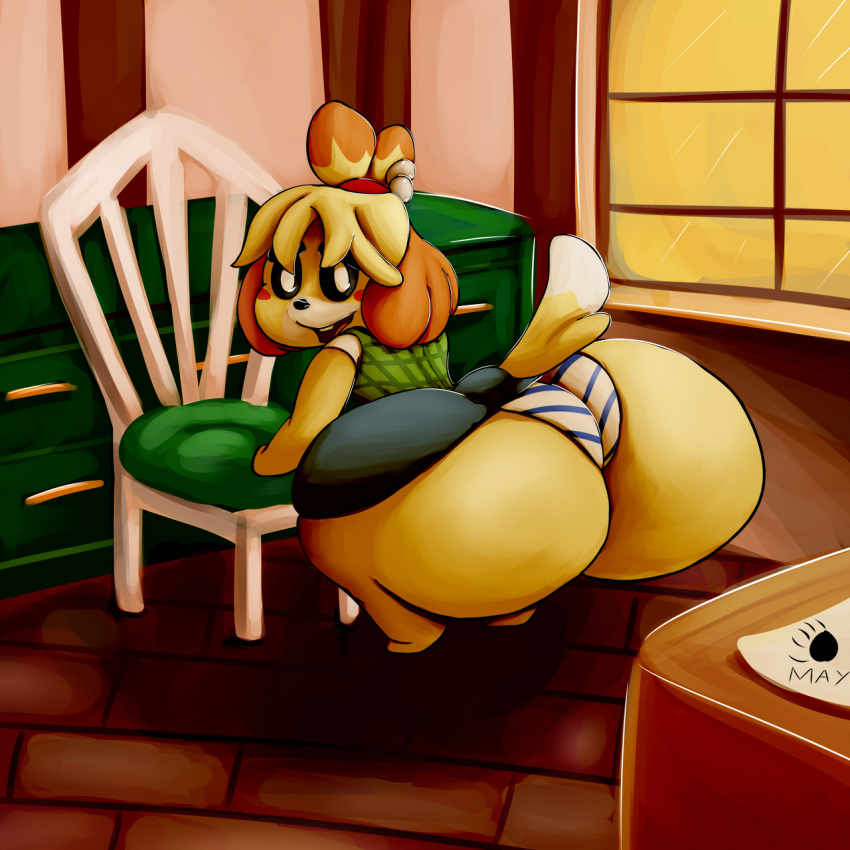 1girl 1girl animal_crossing anthro ass blonde_hair cabinet canine canine_humanoid chair dat_ass dialbforbear dog female_focus female_only furry hyper hyper_ass isabelle_(animal_crossing) large_ass looking_back nintendo panties presenting presenting_hindquarters shih_tzu shortstack skirt striped_panties underwear wardrobe_malfunction yellow_fur