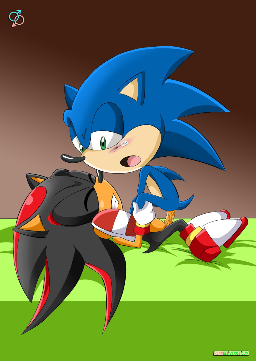 2boys anal bbmbbf love mobius_unleashed palcomix rear_deliveries reardeliveries sega shadow_the_hedgehog sonic_(series) sonic_the_hedgehog sonic_the_hedgehog_(series) yaoi