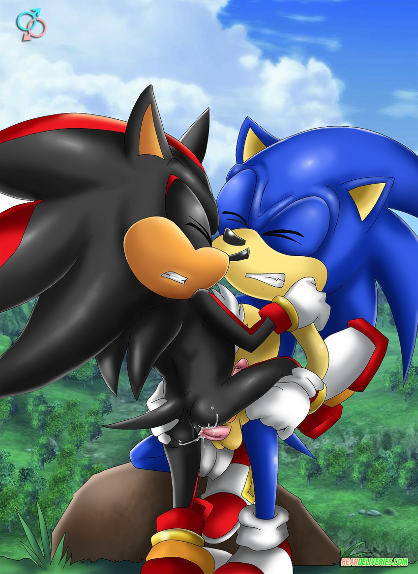 anal bbmbbf cum cum_in_ass hand_on_ass hugging love mobius_unleashed palcomix rear_deliveries reardeliveries sega sex shadow_the_hedgehog sonic_(series) sonic_the_hedgehog sonic_the_hedgehog_(series) wince yaoi