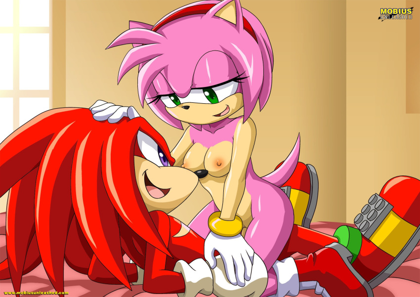 2014 amy_rose bbmbbf horny knuckles_the_echidna love mobius_unleashed palcomix sega sex sonic_(series) sonic_team sonic_the_hedgehog_(series)