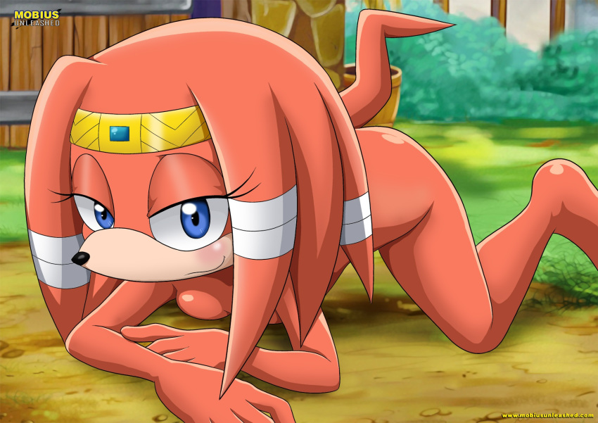 asking_for_it bbmbbf horny looking_at_viewer mobius_unleashed palcomix sega sonic_(series) sonic_the_hedgehog_(series) tagme tikal_the_echidna