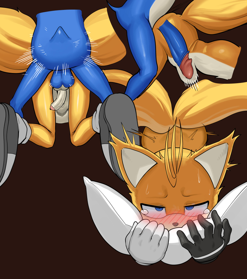 2boys absurd_res anal anthro ass balls blush duo fox furry genitals hedgehog high_res internal interspecies kunsun976 male male/male male_only miles_"tails"_prower penis sega sex sonic_the_hedgehog sonic_the_hedgehog_(series) stomach_bulge yaoi