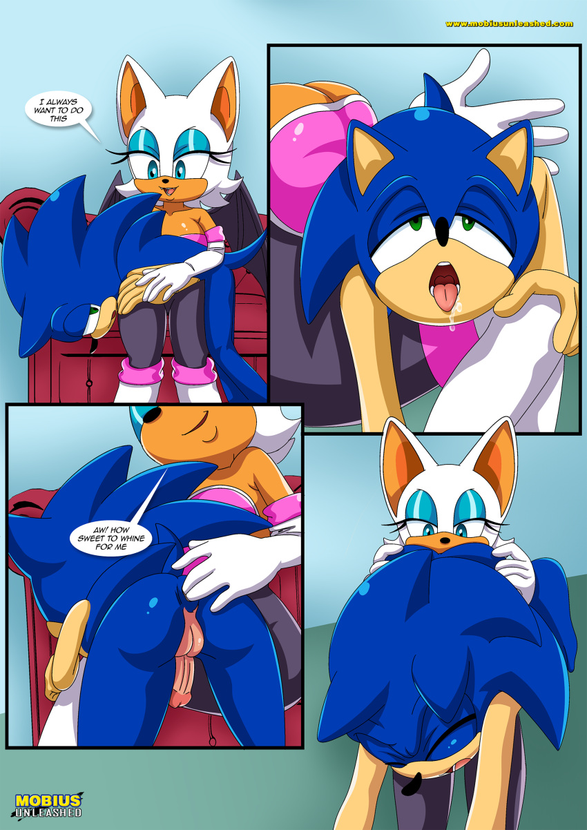 bbmbbf comic furry furry_only mobius_unleashed palcomix pet's_night rouge_the_bat sega sega sonic_the_hedgehog