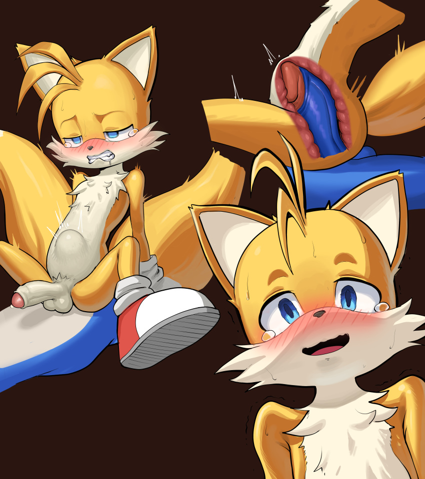 2boys absurd_res anal anthro balls blush bodily_fluids duo foreskin fox furry genital_fluids genitals hedgehog high_res internal interspecies kunsun976 male male/male male_only miles_"tails"_prower penis precum sega sex sonic_the_hedgehog sonic_the_hedgehog_(series) stomach_bulge tears yaoi