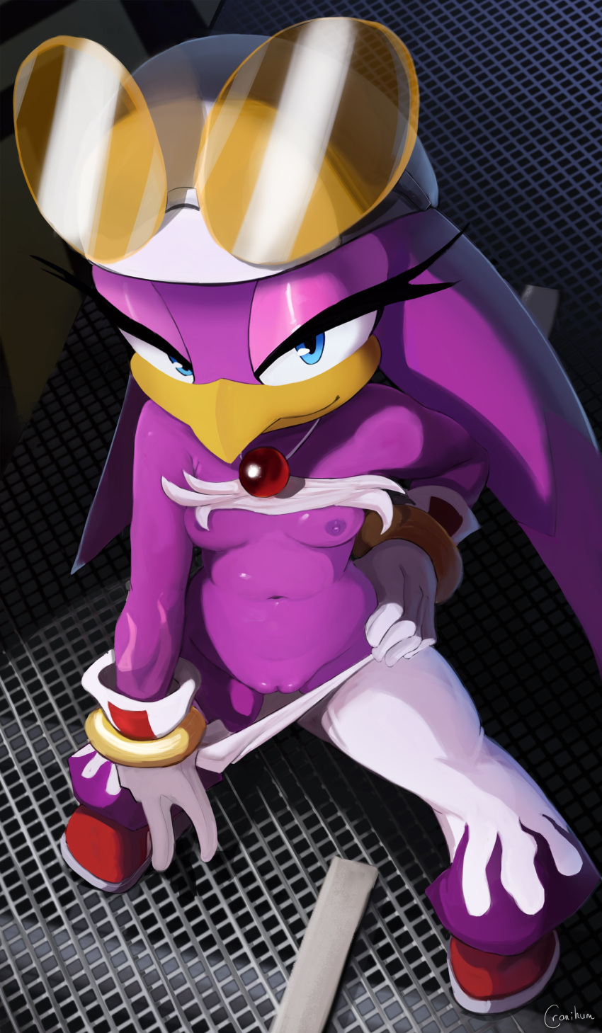1girl anthro avian bird breasts cranihum female female_only hand_on_hip looking_at_viewer nipples no_bra no_panties pants pussy sega small_breasts solo sonic_riders sonic_the_hedgehog_(series) sunglasses sunglasses_on_head swallow_(bird) thick_thighs topless wave_the_swallow wide_hips