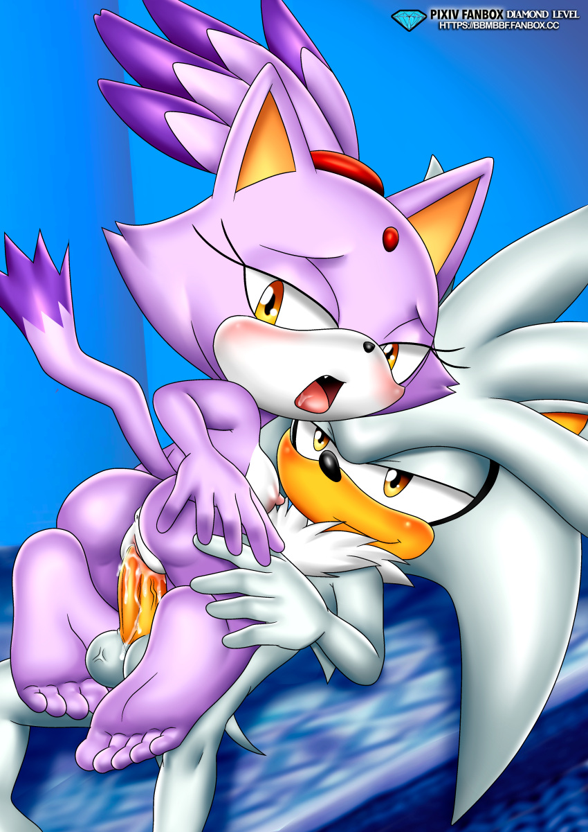 balls bbmbbf blaze_the_cat cowgirl_position feet mobius_unleashed palcomix penis pussy riding sega silver_the_hedgehog soles sonic_the_hedgehog_(series)