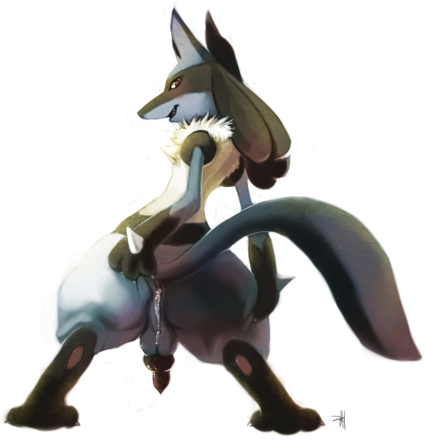 1_male after_sex anus ass black_cock cum cum_in_ass cum_inside erection from_behind knot looking_at_viewer looking_back lucario male male_only pawpads penis pokemon purplekecleon red_eyes solo standing stretching tail testicles