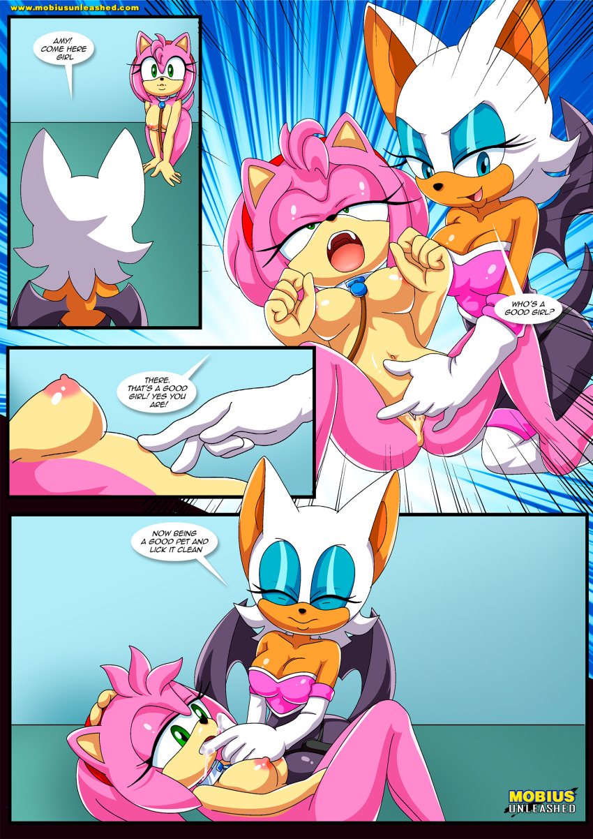 amy_rose bbmbbf comic furry furry_only mobius_unleashed palcomix pet's_night rouge_the_bat sega sonic_the_hedgehog_(series) teen young_adult