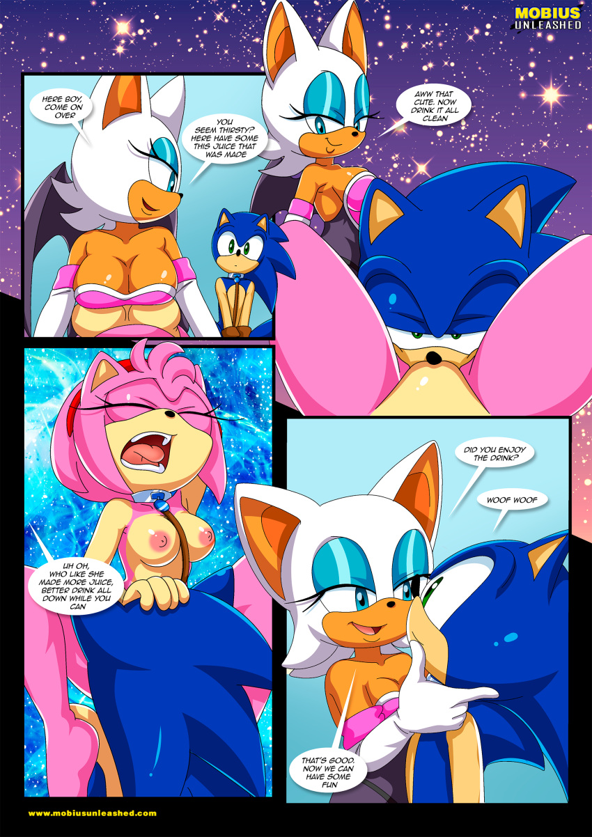 amy_rose bbmbbf comic furry furry_only mobius_unleashed palcomix pet's_night rouge_the_bat sega sonic_the_hedgehog sonic_the_hedgehog_(series) teen young_adult