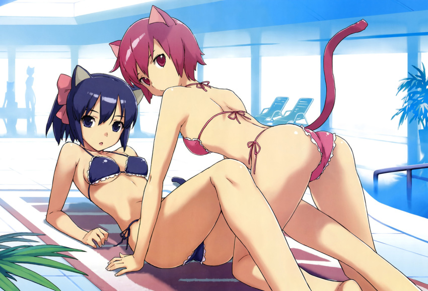 4_girls 4girls all_fours animal_ears arm arm_support arms art artist_request ass babe back bare_back bare_legs bare_shoulders barefoot between_legs bikini blue_bikini blue_eyes blue_hair blue_swimsuit breasts cat_ears cat_girl cat_tail female girl_on_top hair_between_eyes hair_ribbon halterneck legs looking_at_viewer looking_back lying midriff multiple_girls neck on_back open_mouth pink_bikini pink_swimsuit plant ponytail purple_eyes purple_hair red_eyes ribbon shiny shiny_hair shiny_skin short_hair side-tie_bikini small_breasts swimsuit tail towel yuri