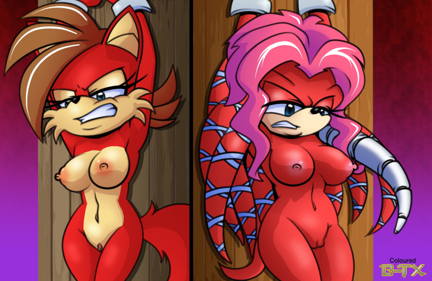 angry breasts brown_hair fiona_fox hyoumaru lien-da pussy red_fur red_hair sega sonic_the_hedgehog_(series) tied_up