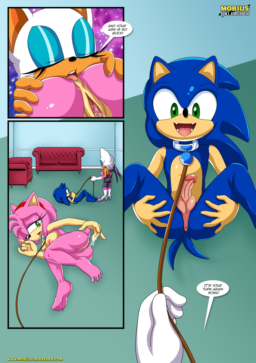 amy_rose bbmbbf comic furry furry_only mobius_unleashed palcomix pet's_night rouge_the_bat sega sonic_the_hedgehog sonic_the_hedgehog_(series)