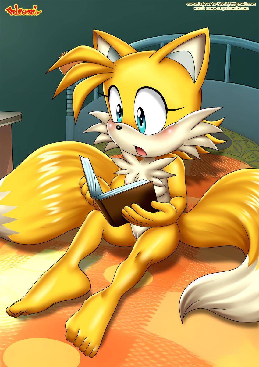 1girl bbmbbf furry miles_"tails"_prower millie_tailsko mobius_unleashed palcomix sega