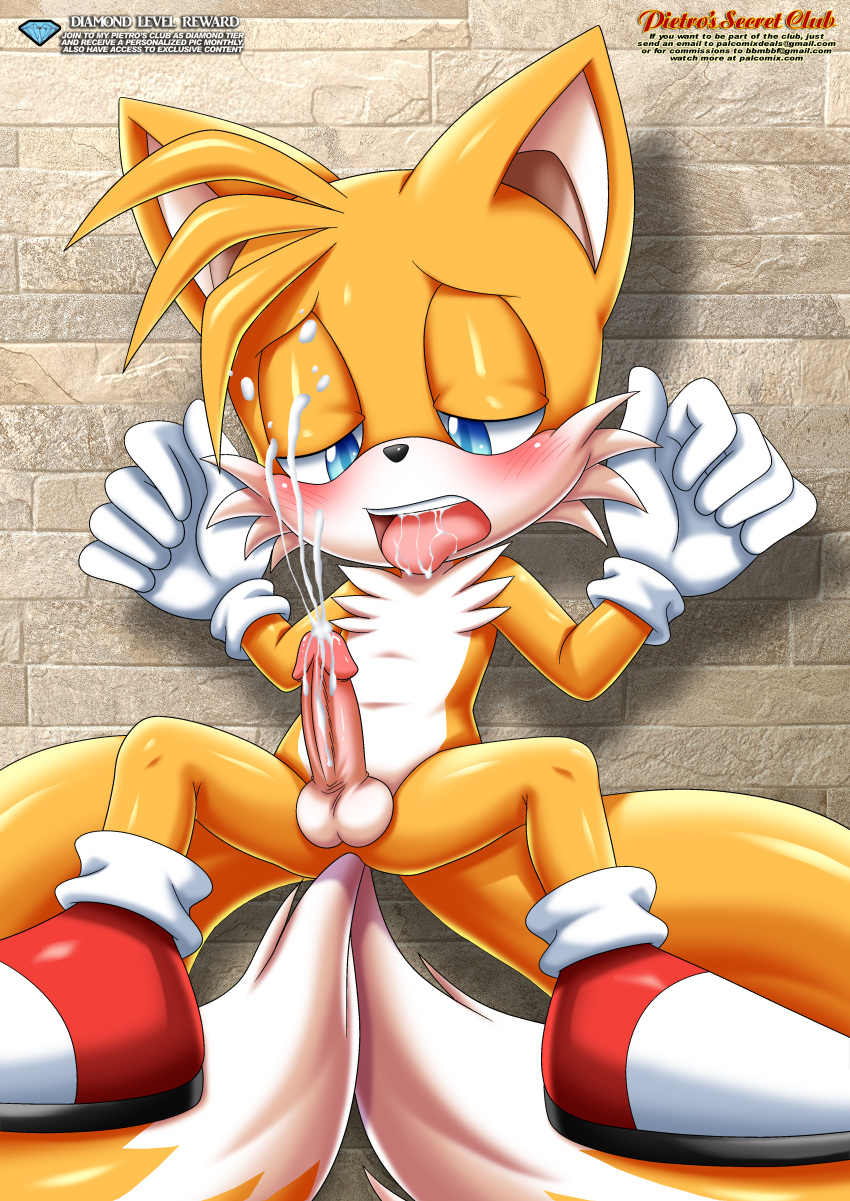 1_boy bbmbbf miles_"tails"_prower mobius_unleashed palcomix pietro's_secret_club sega sonic_(series) sonic_the_hedgehog_(series) tagme tails yaoi