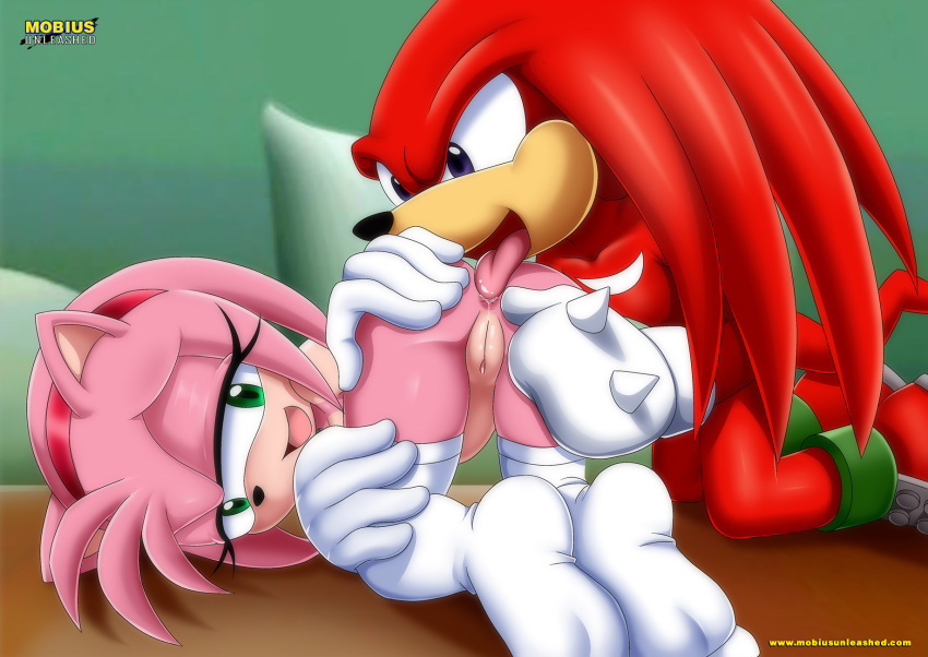 amy_rose bbmbbf furry knuckles_the_echidna mobius_unleashed palcomix sega